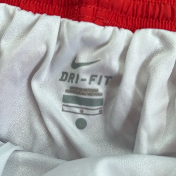 Nike dri fit shorts large - Picture 3 of 4